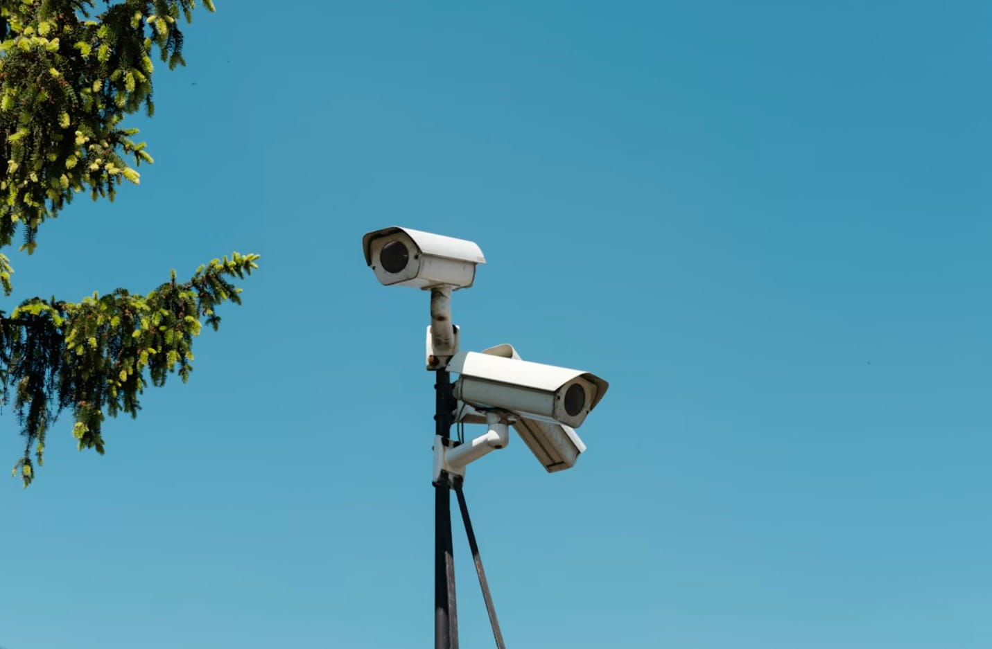 Trademark Monitoring